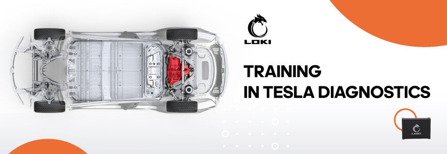 Bir günde Tesla teşhisi: LOKI ile eğitim